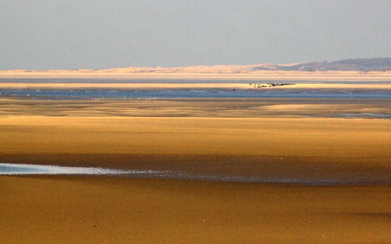 Baie de Somme